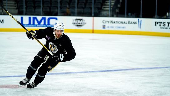 Practice report: Rust returns, Zucker seems ready taken in Las Vegas (Penguins)